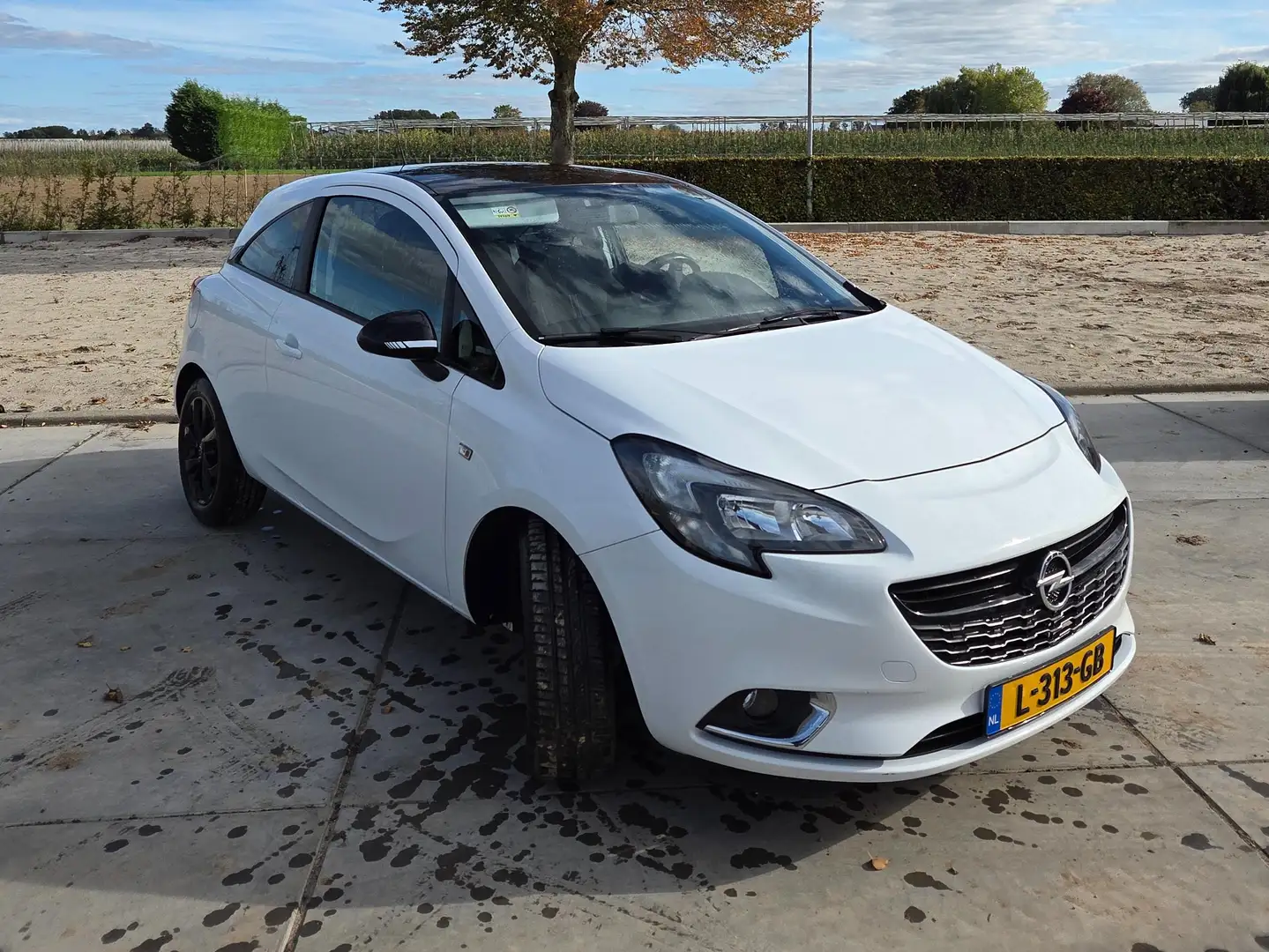 Opel Corsa-e Corsa-e 1.2 Alb - 1