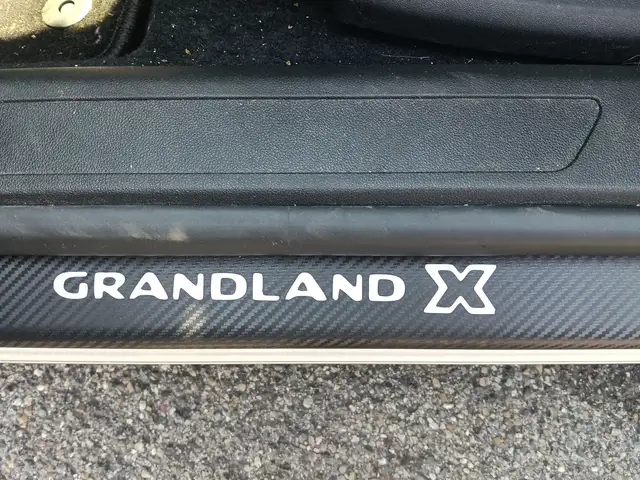 Opel Grandland view 16