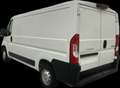 Peugeot Boxer 333 L2H1 PREMIUM 140 STANDHZ/KAMERA/LANG Blanc - thumbnail 4