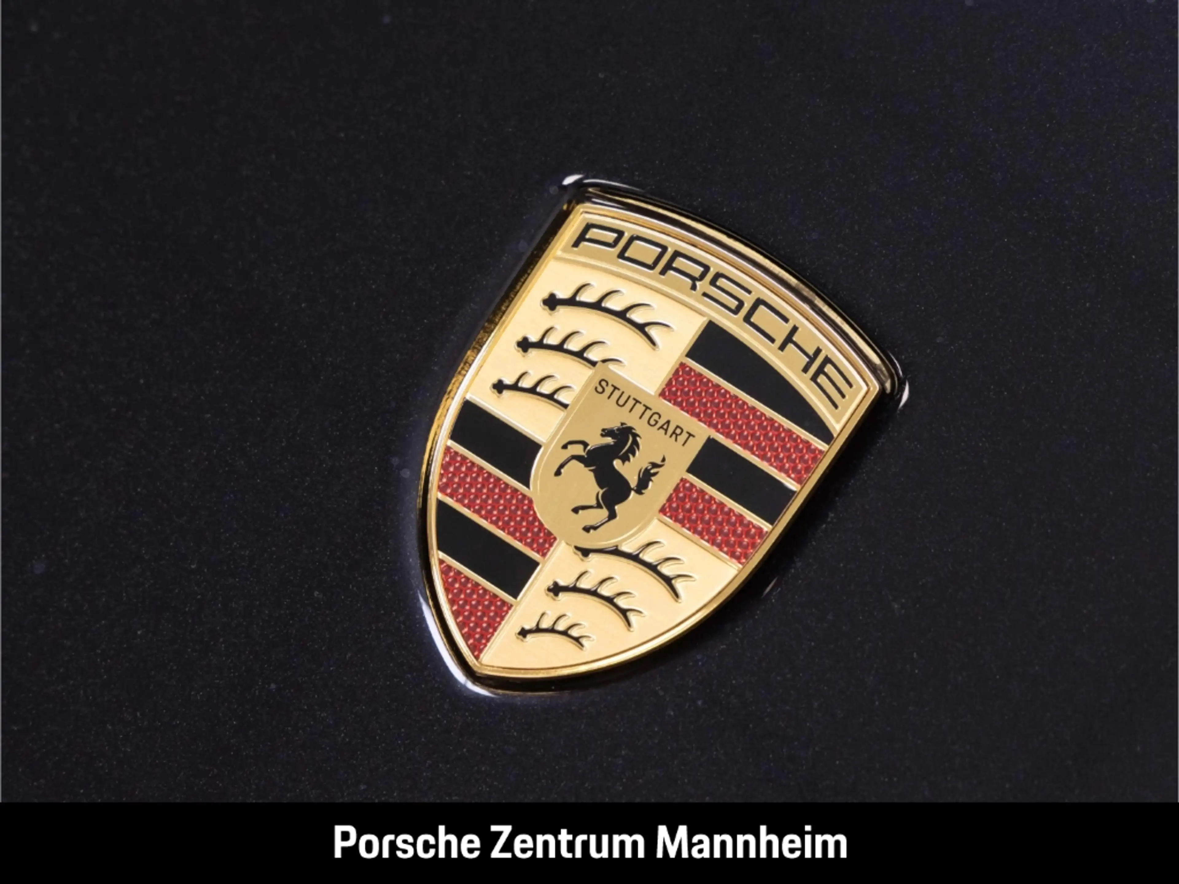 Porsche 992 -2 (911) Carrera — photo 12