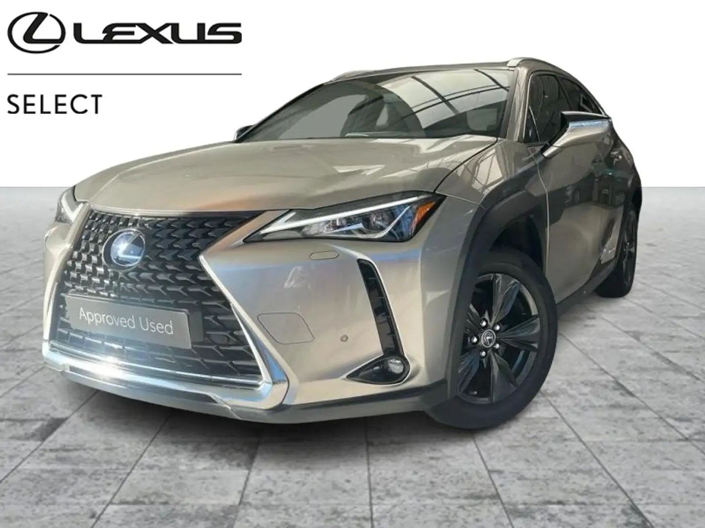 Lexus UX 250h Business Line Plus + 96 mois d Grey - 1