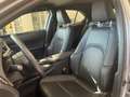 Lexus UX 250h Business Line Plus + 96 mois d Grijs - thumbnail 10