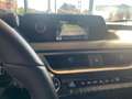 Lexus UX 250h Business Line Plus + 96 mois d Grijs - thumbnail 16