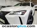 Lexus UX 250h Business 2WD Blanc - thumbnail 15