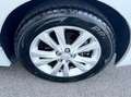 Lexus CT 200h 1.8 Hybrid 99CV E6 Automatica - 2014 Bianco - thumbnail 11