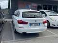 BMW 518 Serie 5 F11 Touring518d Touring Luxury 150cv auto Bílá - thumbnail 3