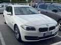 BMW 518 Serie 5 F11 Touring518d Touring Luxury 150cv auto Bílá - thumbnail 1