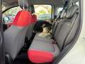 Fiat Panda 1.2l*SHZ*SERVICE NEU*MULTIF.*HU NEU*1.HAND Weiß - thumbnail 16