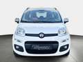 Fiat Panda 1.2l*SHZ*SERVICE NEU*MULTIF.*HU NEU*1.HAND Weiß - thumbnail 2