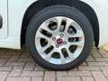 Fiat Panda 1.2l*SHZ*SERVICE NEU*MULTIF.*HU NEU*1.HAND Weiß - thumbnail 18
