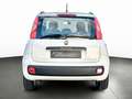 Fiat Panda 1.2l*SHZ*SERVICE NEU*MULTIF.*HU NEU*1.HAND Weiß - thumbnail 8