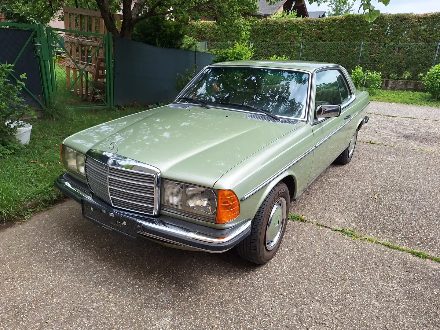 Mercedes-Benz Baureihe 123 230c W 123 Zelená - 2