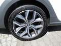 SEAT Leon Leon X-Perience 2.0 TDI 4Drive Weiß - thumbnail 7