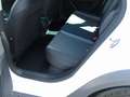 SEAT Leon Leon X-Perience 2.0 TDI 4Drive Weiß - thumbnail 10