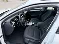 Audi A4 A4 Avant 2.0 tdi ultra Advanced 163cv S-line Bianco - thumbnail 8