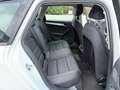 Audi A4 A4 Avant 2.0 tdi ultra Advanced 163cv S-line Bianco - thumbnail 14
