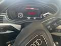 Audi RS4 Avant 2.9 tfsi quattro 450cv tiptronic Grigio - thumbnail 12