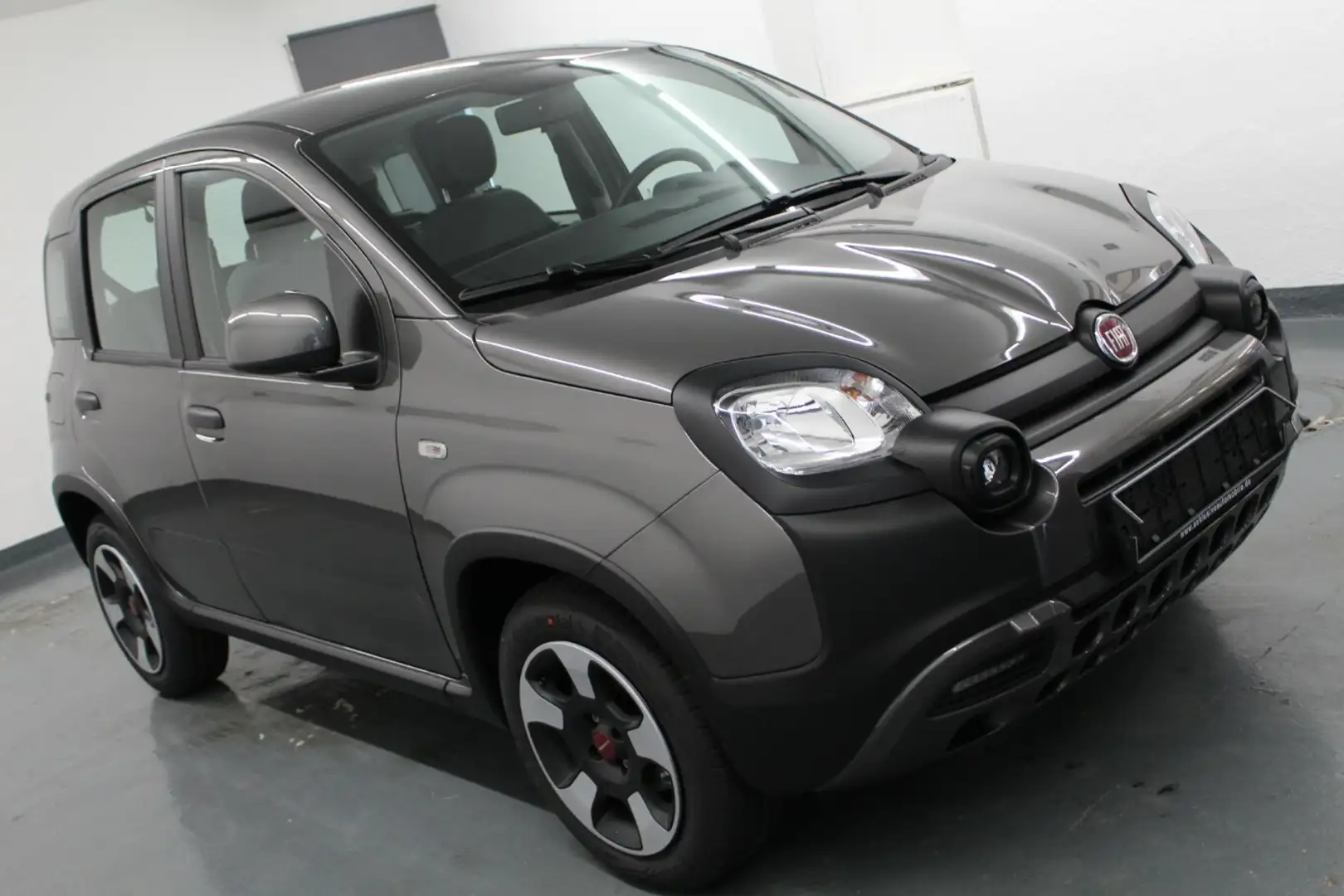 Fiat Panda 1.0 City CROSS Leasing ab 129Euro Grau - 1