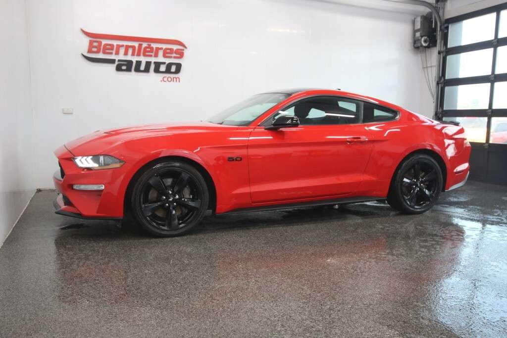2022 Ford Mustang Fastback Other/Don't Know