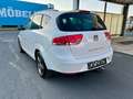 SEAT Altea XL ChiliTech 2,0 TDi 4WD *Pickerl&Service neu* Bianco - thumbnail 7