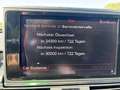 Audi A6 Avant 3,0 TDI quattro S-Line S-tronic Sport Grau - thumbnail 18
