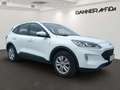 Ford Kuga 120PS Diesel/Automatik 2,0 ALLRAD Weiß - thumbnail 2