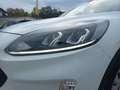Ford Kuga 120PS Diesel/Automatik 2,0 ALLRAD Weiß - thumbnail 7