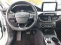 Ford Kuga 120PS Diesel/Automatik 2,0 ALLRAD Weiß - thumbnail 13