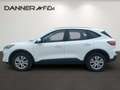Ford Kuga 120PS Diesel/Automatik 2,0 ALLRAD Weiß - thumbnail 4