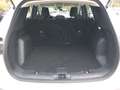 Ford Kuga 120PS Diesel/Automatik 2,0 ALLRAD Weiß - thumbnail 9