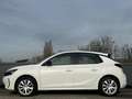 Opel Corsa-e Electric Long Range Business Edition 51 kWh Blanc - thumbnail 6