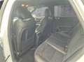 Kia Ceed / cee'd Ceed 1.6T-GDI GT ACC+LED+Navi+SHZ+2xKlima+4xSHZ Weiß - thumbnail 12