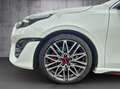 Kia Ceed / cee'd Ceed 1.6T-GDI GT ACC+LED+Navi+SHZ+2xKlima+4xSHZ Weiß - thumbnail 19