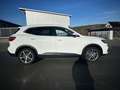 MG EHS Luxury PHEV Panoramadach, 0,5% Versteuerung! Weiß - thumbnail 7