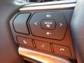 Isuzu D-Max Double Cab 4x4 LSE Automatik Bleu - thumbnail 23