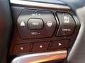 Isuzu D-Max Double Cab 4x4 LSE Automatik Bleu - thumbnail 24