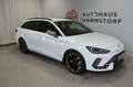 CUPRA Leon Sportstourer 1.5 LED Kamera AHK elek. Heckk Alb - thumbnail 6