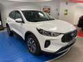 Ford Kuga 2.500 Full-Hybrid 180cv.  Titanium , KM ZERO! Bianco - thumbnail 3