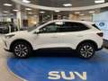 Ford Kuga 2.500 Full-Hybrid 180cv.  Titanium , KM ZERO! Bianco - thumbnail 4