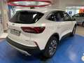 Ford Kuga 2.500 Full-Hybrid 180cv.  Titanium , KM ZERO! Bianco - thumbnail 7