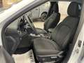 Ford Kuga 2.500 Full-Hybrid 180cv.  Titanium , KM ZERO! Bianco - thumbnail 14