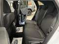 Ford Kuga 2.500 Full-Hybrid 180cv.  Titanium , KM ZERO! Bianco - thumbnail 15