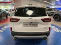 Ford Kuga 2.500 Full-Hybrid 180cv.  Titanium , KM ZERO! Bianco - thumbnail 6