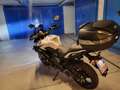 Kawasaki Versys 650 Abs Bianco - thumbnail 12