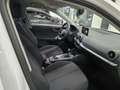 Audi Q2 Q2 I 2021 30 2.0 tdi Admired s-tronic Weiß - thumbnail 13