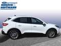 Ford Kuga Plug-In Hybrid Titanium Blanco - thumbnail 4