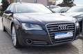 Audi A8 4.0 TFSI quattro Automatik aus 3.Hand! S.Heft Grey - thumbnail 3