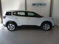 Citroen C5 Aircross C5 Aircross PureTech 130 S&S You Weiß - thumbnail 19