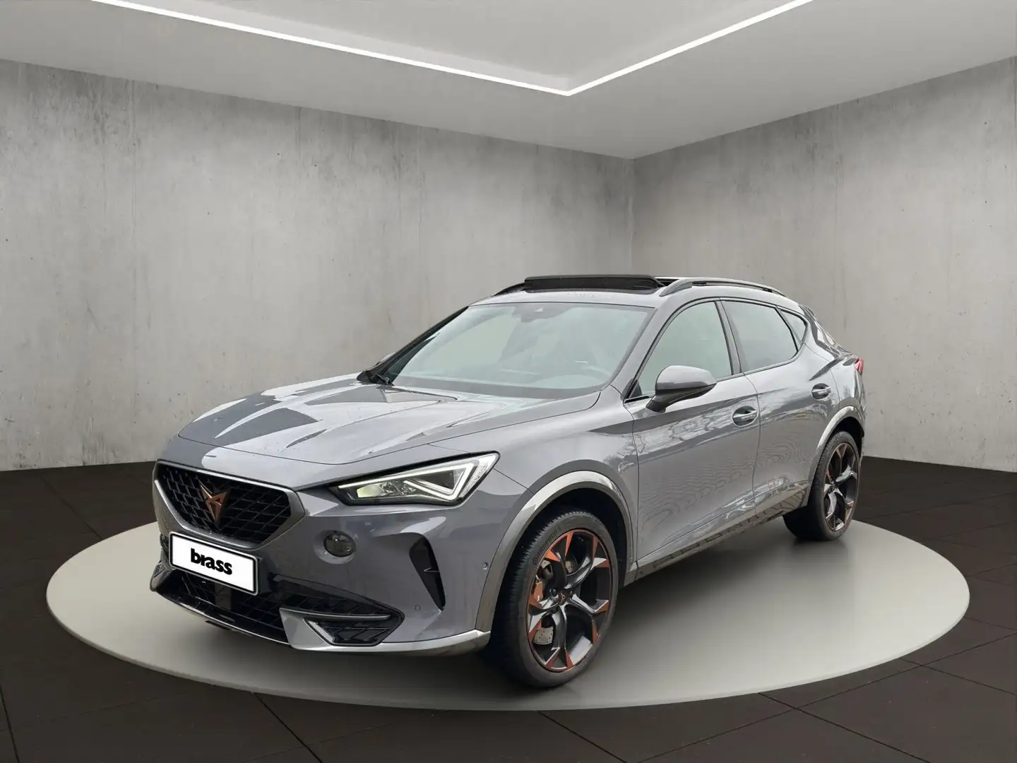 CUPRA Formentor VZ 2.0 TSI 4Drive OPF Grau - 1