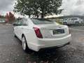 Cadillac CT6 Luxury AWD*1Hand*8Fach*ServiceNeu*TüvNEU* Weiß - thumbnail 3